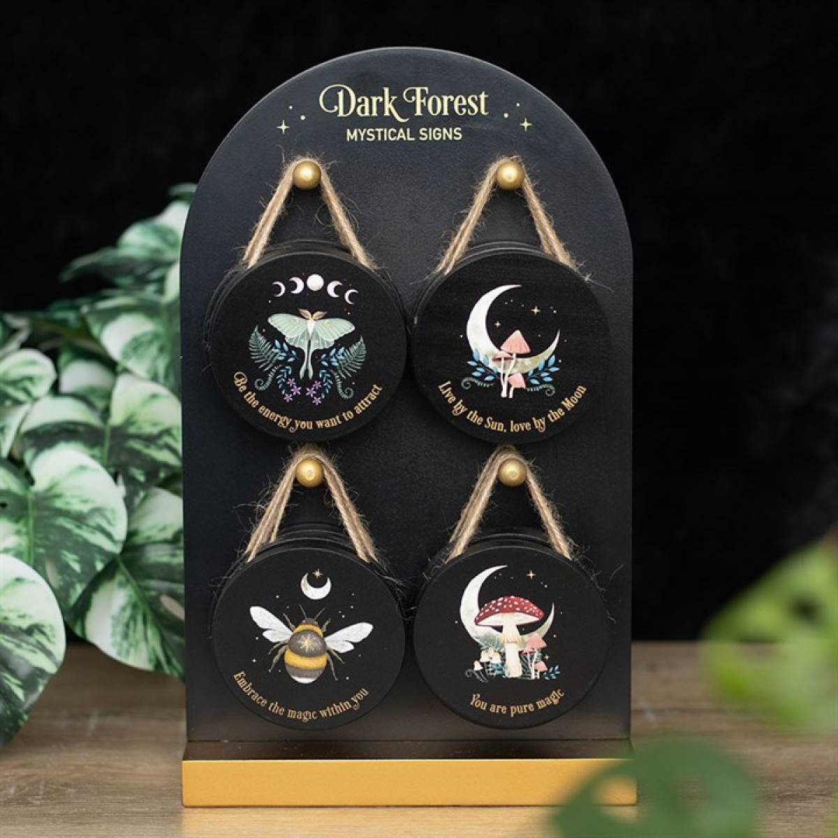 Set of 24 Dark Forest Signs on Display Set of 24 Dark Forest Signs on Display