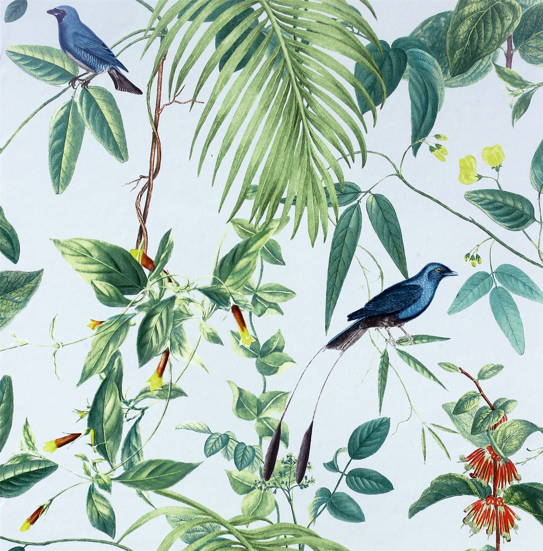 Exotic Garden Blue SW12 – Luxury Botanical Wallpaper with Tropical Birds Exotic Garden Blue SW12 – Luxury Botanical Wallpaper with Tropical Birds