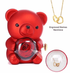 Teddy Bear Gift Box with Necklace Rotate Rose Jewellery Box Novelty Gift