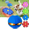 Flying Disc & Saucer Ball Dog Toy, Transformable Outdoor Training Accessory Flying Disc & Saucer Ball Dog Toy, Transformable Outdoor Training Accessory