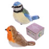 Novelty British Birds Blue Tit and Robin Salt and Pepper Set Novelty Gift Novelty British Birds Blue Tit and Robin Salt and Pepper Set Novelty Gift