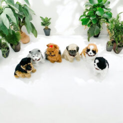 Alternative view of 18 cm Sitting Puppies 6 Assorted Colours