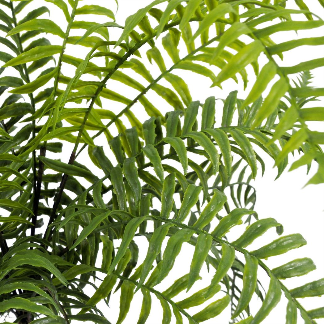 50cm Artificial Boston Fern Plant – Lush Green Fronded Indoor Decoration 50cm Artificial Boston Fern Plant – Lush Green Fronded Indoor Decoration - Image 3