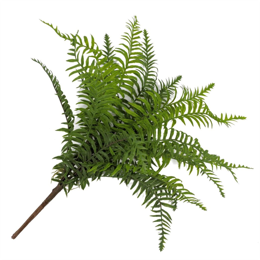 50cm Artificial Boston Fern Plant – Lush Green Fronded Indoor Decoration 50cm Artificial Boston Fern Plant – Lush Green Fronded Indoor Decoration - Image 7