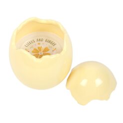 Alternative view of Citrus & Ginger Egg Shaped Candle
