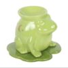 Luna Frog Shaped Oil Burner