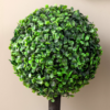 Set of 2 Artificial Boxwood Ball Trees in Pots – 60cm Indoor Outdoor Plants