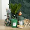Green Forest Plant Pot with Fox Green Forest Plant Pot with Fox