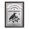 Old Raven Apothecary Mirrored Wall Art Old Raven Apothecary Mirrored Wall Art