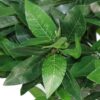 Pair of 120cm Artificial Twist Bay Laurel Ball Trees – Natural Topiary Plants
