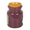 Mischief and Magic Potion Bottle Oil Burner and Wax Warmer