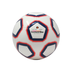 Alternative view of Lionstrike Lite Training Football