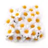 100pcs Mini Daisy Artificial Flower Heads for DIY Decoration