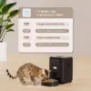 2L Smart Automatic Pet Feeder with Timer and LCD Display 2L Smart Automatic Pet Feeder with Timer and LCD Display
