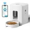 2L Smart Automatic Pet Feeder with Timer and LCD Display