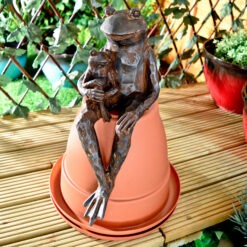 Alternative view of Pond Sitting Frog