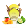 Adyan Musc Mango Adyan Musc Mango