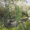 Metal Garden Arch with Double Gate for Climbing Plants