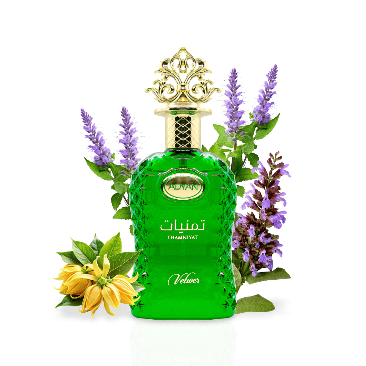 London Musk Thamniyat Vetiver Eau de Parfum 100ml London Musk Thamniyat Vetiver Eau de Parfum 100ml - Image 2