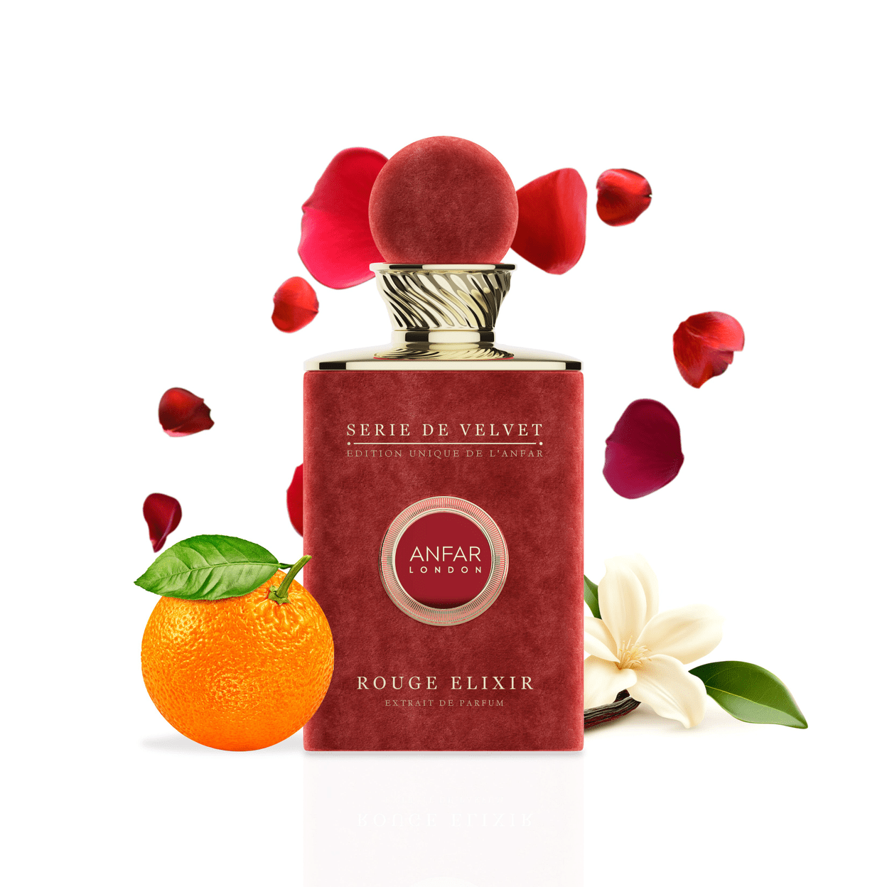 Anfar London Rouge Elixir Pour Femme Extrait de Parfum 100ml Anfar London Rouge Elixir Pour Femme Extrait de Parfum 100ml - Image 2