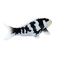 Alternative view of Koi Carp Shiro Utsuri Toy – Realistic Fish Figurine