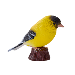 Alternative view of American Goldfinch Bird Toy – Realistic Wildlife Model
