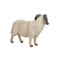 Alternative view of Sheep Ram Toy – Realistic Farm Animal Model