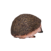 Hedgehog Toy – Realistic Woodland Animal Figurine Hedgehog Toy – Realistic Woodland Animal Figurine - Image 2