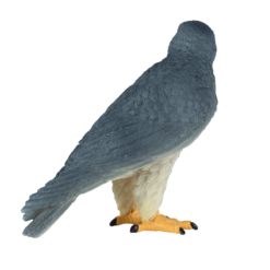 Alternative view of Peregrine Falcon Toy – Realistic Bird of Prey Model
