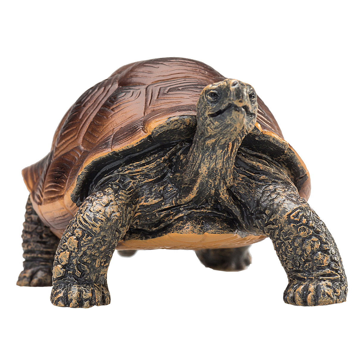 Giant Tortoise Toy – Realistic Reptile Model Giant Tortoise Toy – Realistic Reptile Model - Image 2