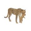 Cheetah Female with Cub Toy – Realistic African Wildlife Figurine - Image 2