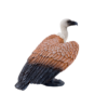 Griffon Vulture Toy Realistic Bird of Prey Model Griffon Vulture Toy Realistic Bird of Prey Model - Image 2