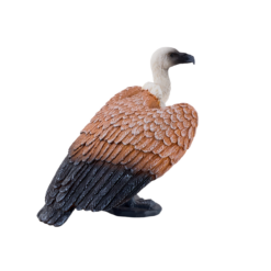 Alternative view of Griffon Vulture Toy  Realistic Bird of Prey Model