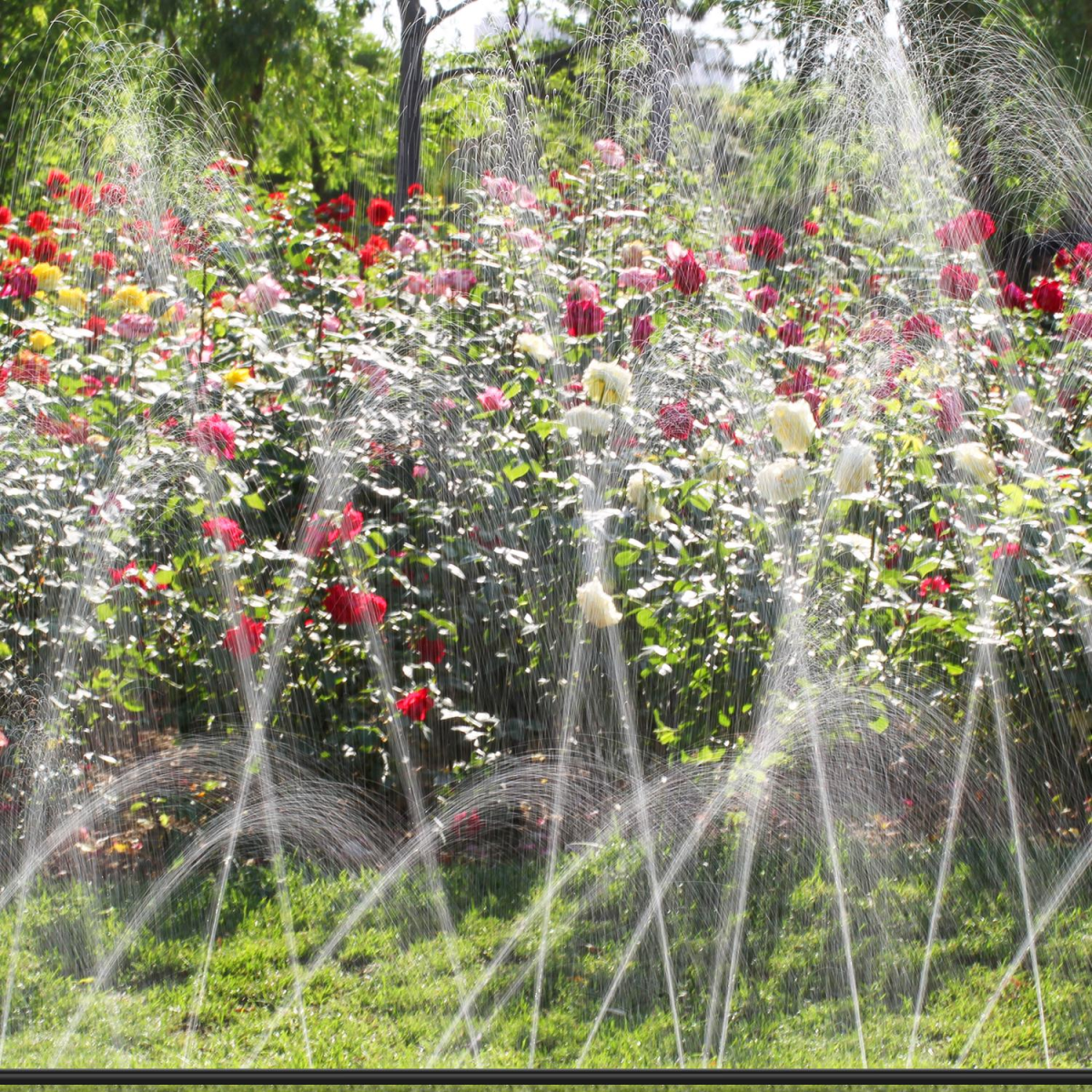 15m Garden Sprinkler 15m Garden Sprinkler - Image 3