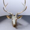 51cm Silver Stag Deer Head Wall Décor - Image 2