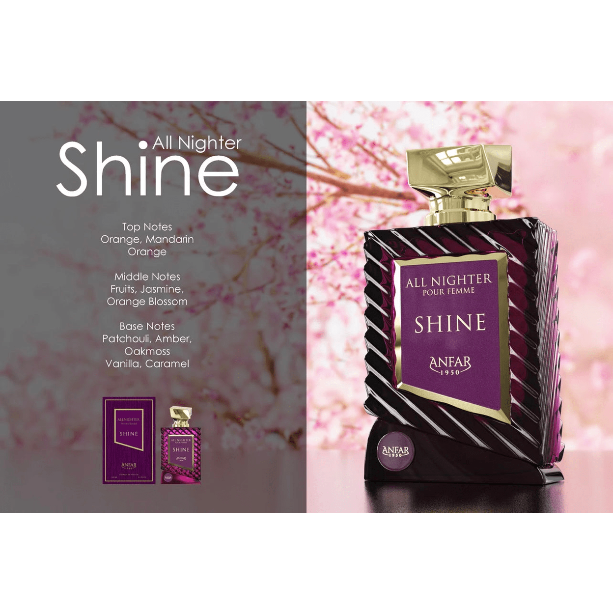 Anfar All Nighter Shine Extrait de Parfum 100ml Anfar All Nighter Shine Extrait de Parfum 100ml - Image 3