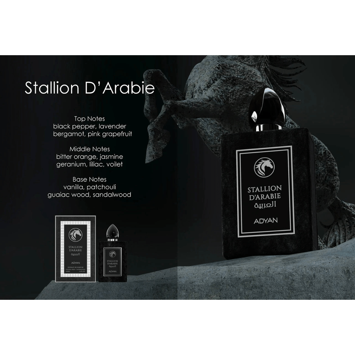 Adyan Stallion D’Arabie Extrait de Parfum 100ml Adyan Stallion D’Arabie Extrait de Parfum 100ml - Image 3