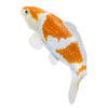 Koi Carp Ochiba Shigure Toy  Realistic Fish Model - Image 3