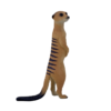 Meerkat Toy  Realistic African Wildlife Figure - Image 3