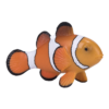 Clown Fish Toy  Realistic Ocean Animal Model - Image 3
