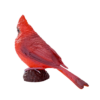 Red Cardinal Bird Toy  Realistic Wildlife Model - Image 3