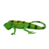 Iguana Toy – Realistic Reptile Figurine - Image 3