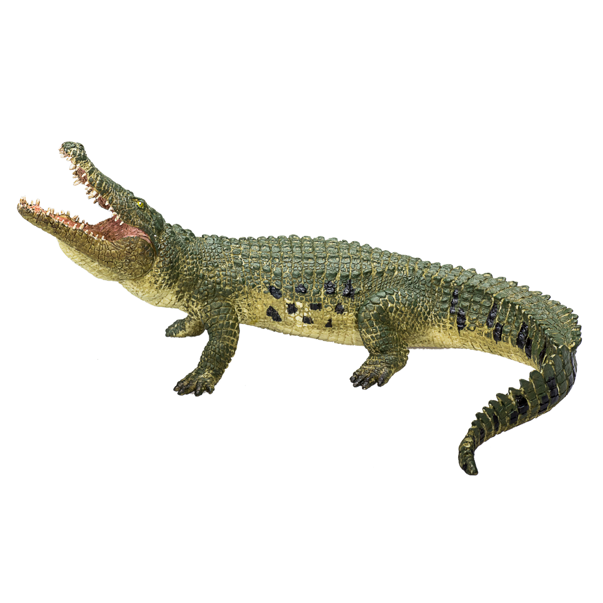Crocodile with Articulated Jaw – Realistic Reptile Model Crocodile with Articulated Jaw – Realistic Reptile Model - Image 3