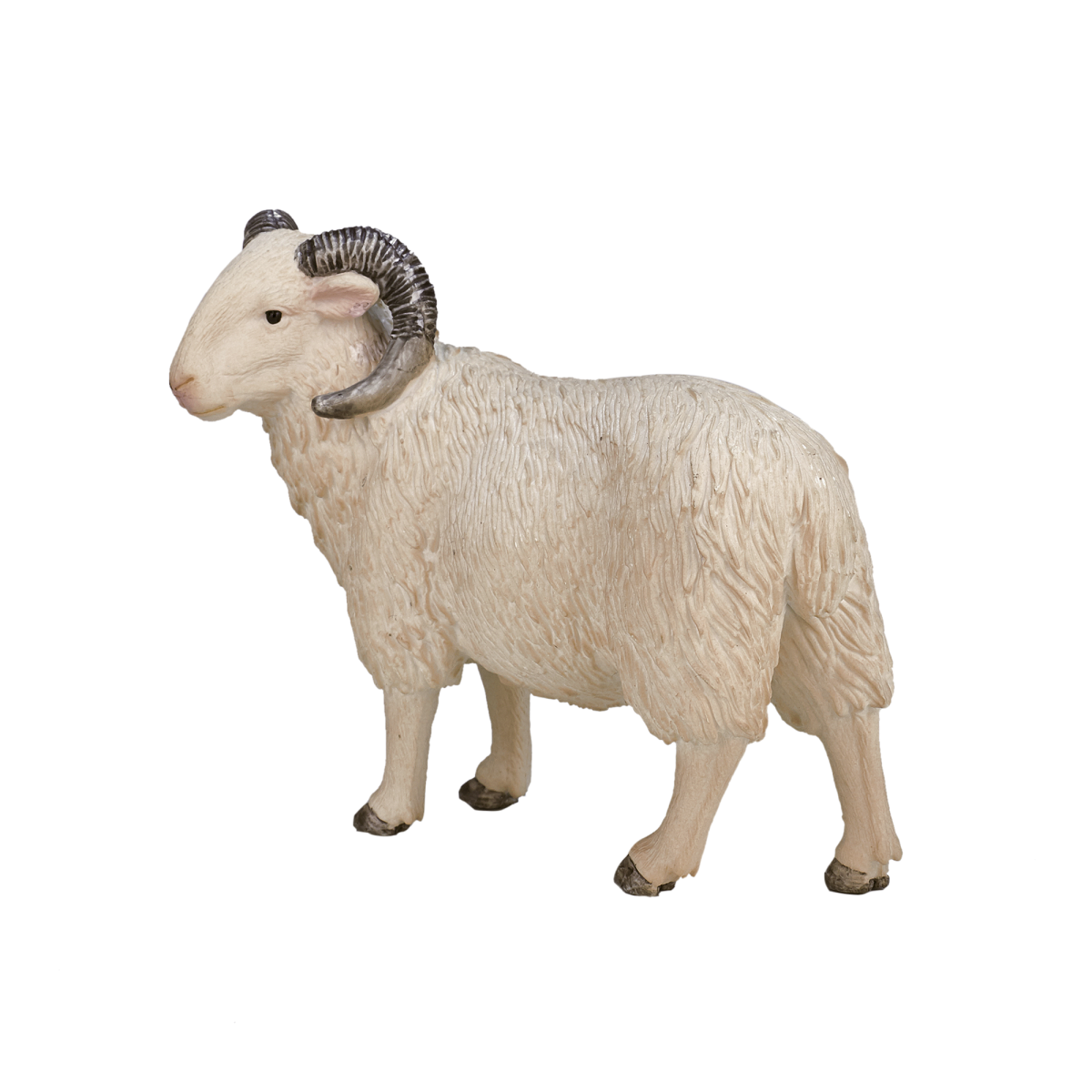 Sheep Ram Toy – Realistic Farm Animal Model Sheep Ram Toy – Realistic Farm Animal Model - Image 3