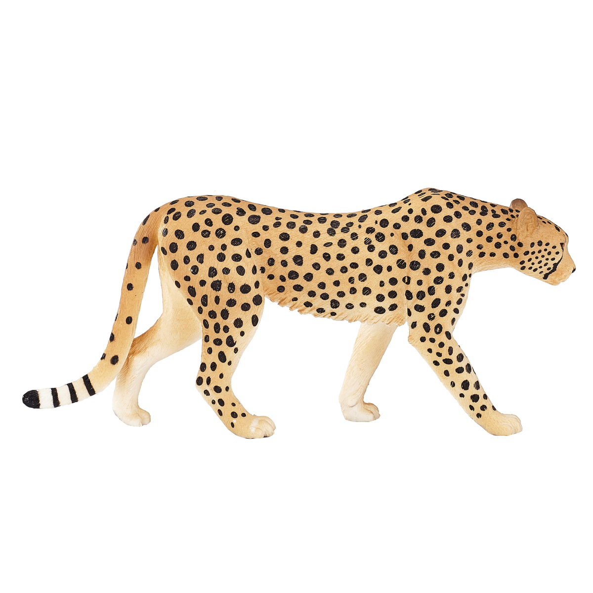 Male Cheetah Toy – Realistic African Wildlife Figurine Male Cheetah Toy – Realistic African Wildlife Figurine - Image 3