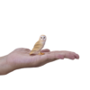 Barn Owl Toy – Realistic Nocturnal Bird Figurine Barn Owl Toy – Realistic Nocturnal Bird Figurine - Image 3