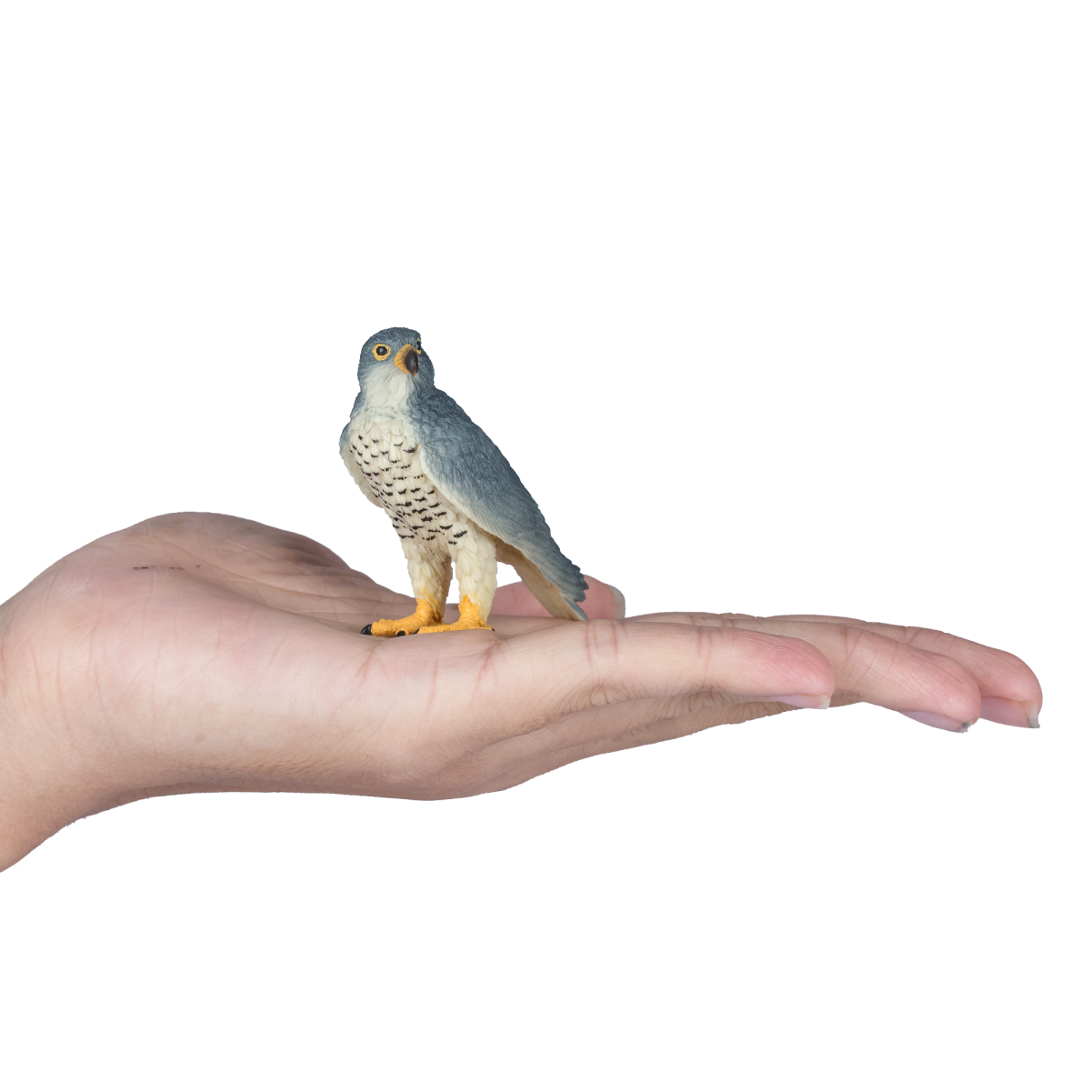 Peregrine Falcon Toy – Realistic Bird of Prey Model Peregrine Falcon Toy – Realistic Bird of Prey Model - Image 3