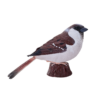 House Sparrow Bird Toy – Realistic Wildlife Figurine - Image 3