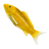 Koi Carp Kin Matsuba – Realistic Fish Figurine Koi Carp Kin Matsuba – Realistic Fish Figurine - Image 3