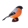 Bullfinch Bird Toy – Realistic Wildlife Figurine - Image 3